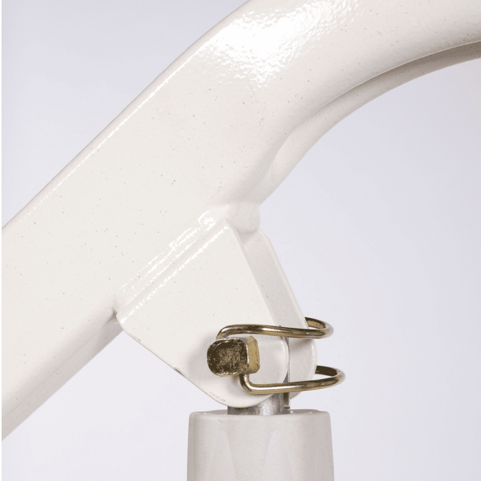 Grúa de transferencia Eagle 625 capacidad de hasta 175kg para mayores