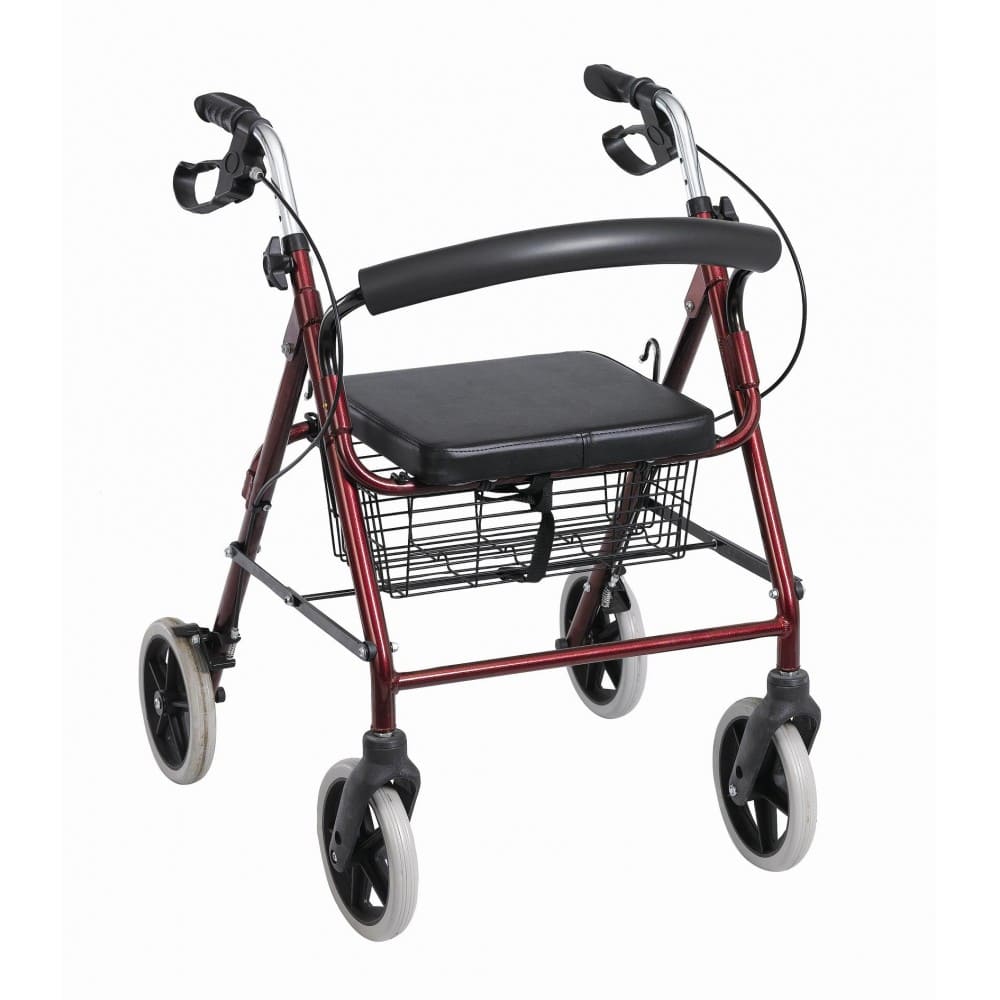 Gaylor Con Ruedas Andadores con Ruedas para mayores | Senior Market